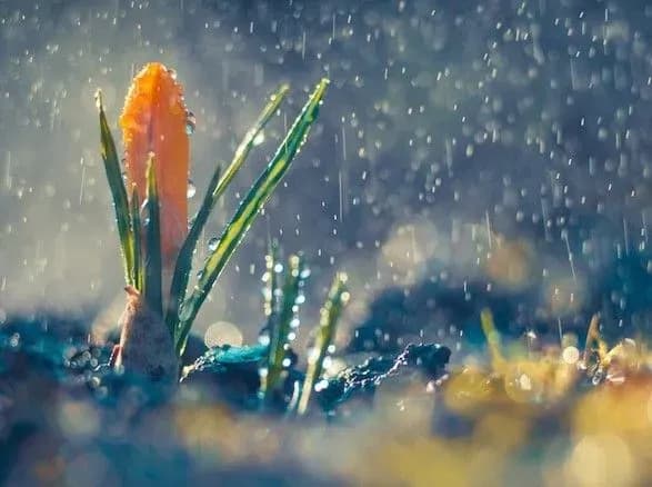 ukrayintsiv-poperedili-pro-pogirshennya-pogodi-8