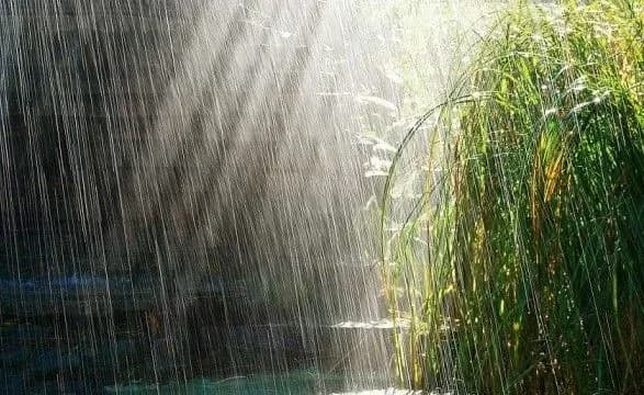 sinoptiki-dali-prognoz-na-zavtra