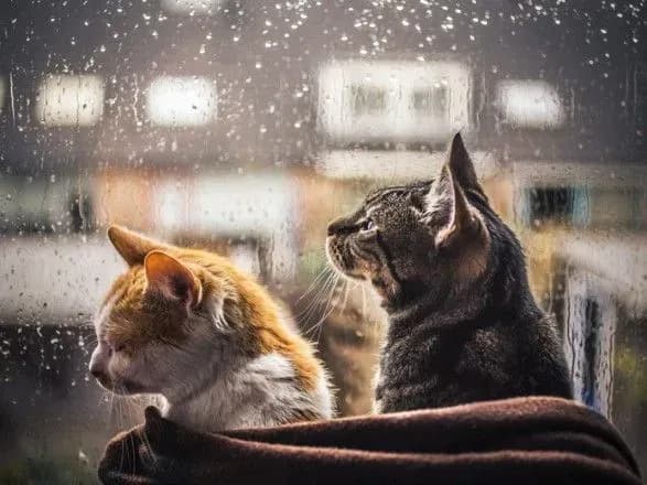 tizhden-v-ukrayini-pochnetsya-z-doschiv-ta-groz