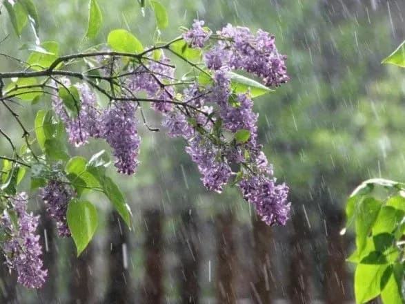 sinoptiki-dali-prognoz-pogodi-na-tizhden-6