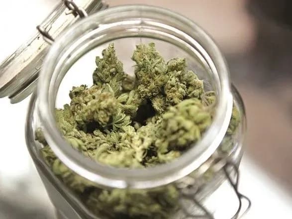 u-radi-zareyestruvali-zakonoproekt-pro-legalizatsiyu-medichnogo-kanabisu