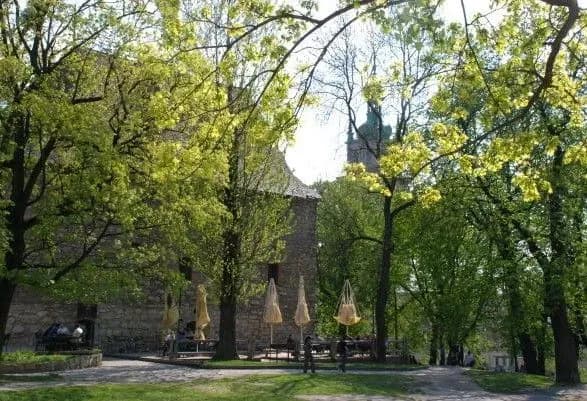 v-ostanniy-den-vesni-v-ukrayini-bude-do-29-gradusiv-tepla