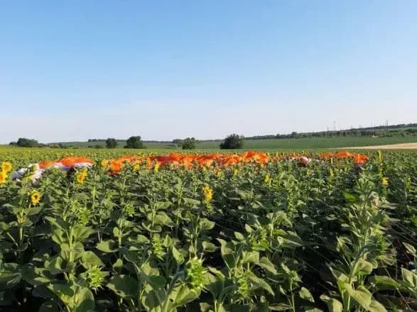 zyavilisya-foto-z-mistsya-padinnya-deltaplana-na-poltavschini