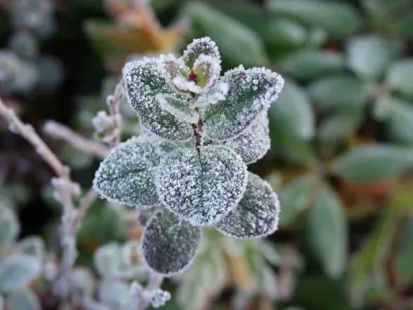 pershi-zamorozki-ukrayintsyam-varto-ochikuvati-vzhe-v-kintsi-veresnya