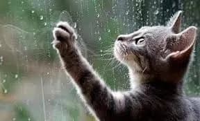 sinoptiki-dali-prognoz-pogodi-na-zavtra-58