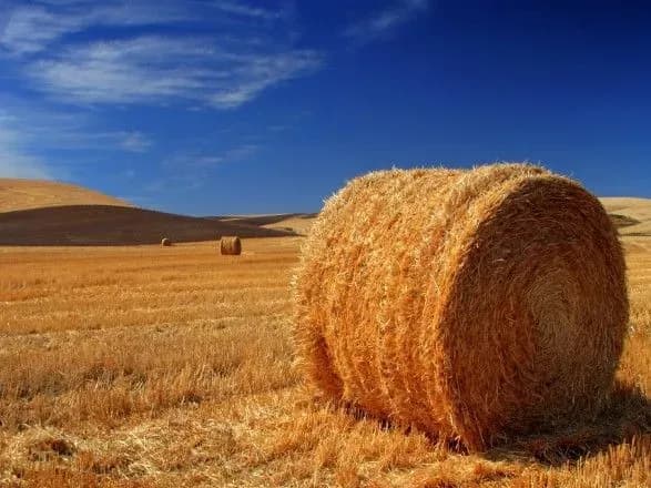 v-ukrayini-sogodni-do-29-gradusiv-tepla-1