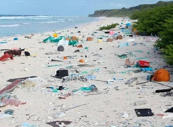 chorne-more-vdvichi-bilshe-zasmichene-nizh-seredzemne-rezultati-doslidzhennya-yes-ta-oon