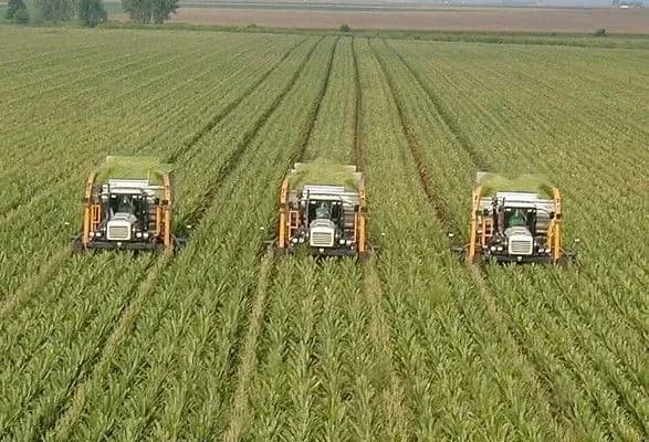 minuliy-rik-viyavivsya-nevdalim-dlya-agrokholdingiv-ukrayini