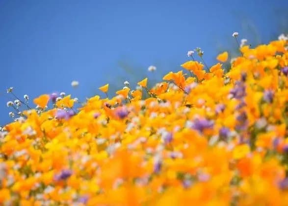 sogodni-v-ukrayini-35-gradusna-speka