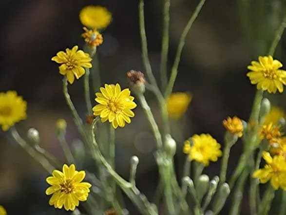 po-ukrayini-sogodni-35-gradusna-speka