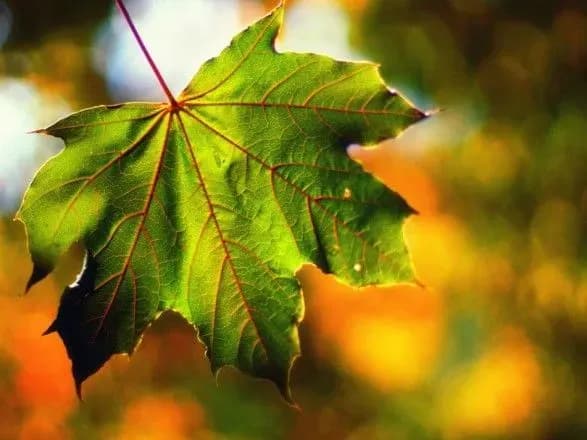 sinoptiki-rozpovili-yakoyu-bude-pogoda-na-den-znan