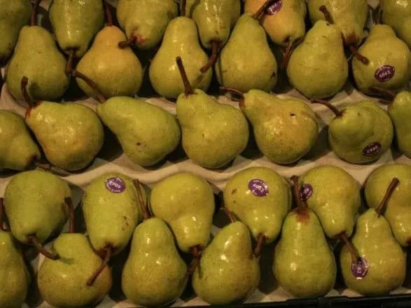 yes-dozvoliv-podalshiy-import-z-ukrayini-nizki-vidiv-ovochiv-i-fruktiv