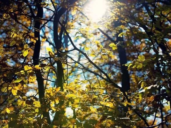 v-ukrayini-sogodni-do-28-gradusiv-tepla-1