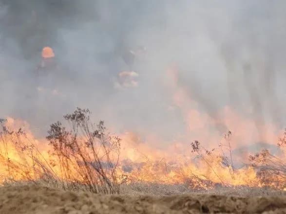 u-chornobilskiy-zoni-stalasya-prirodna-pozhezha