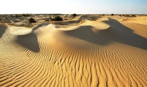 zelenskiy-utochniv-ukaz-poroshenka-schodo-odnogo-z-natsparkiv