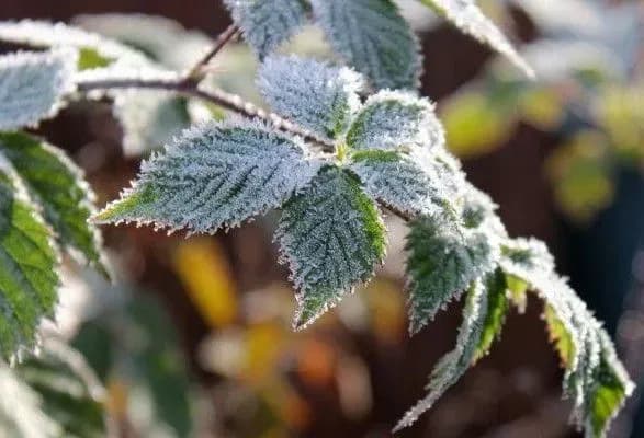 v-ukrayini-ogolosili-shtormove-poperedzhennya-102