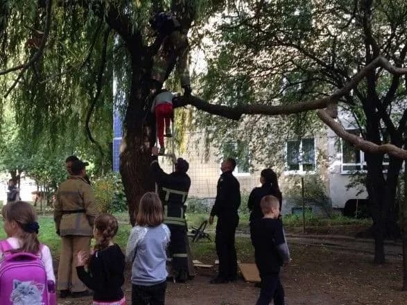 malolitniy-lvivyanin-dlya-zagartuvannya-kharakteru-zaliz-na-derevo-i-zastryag