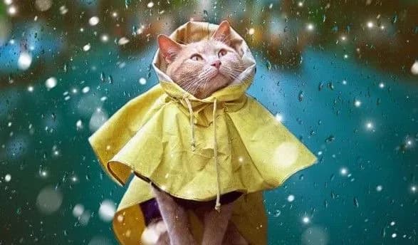 rizke-pokholodannya-chi-babine-lito-yakoyi-pogodi-chekati-ukrayintsyam-tsogo-tizhnya