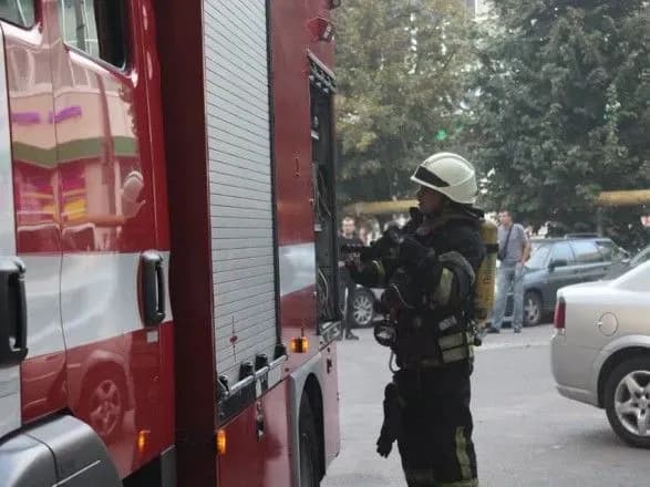 u-kiyevi-gorili-dva-avtomobili-4