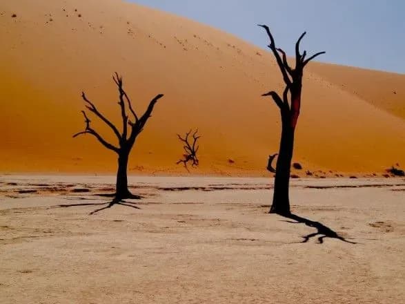 v-oon-poperedili-pro-neminuchu-klimatichnu-katastrofu