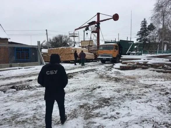 na-kharkivschini-posadovtsi-rozkradali-lis-zavdavshi-zbitkiv-derzhavi-na-mayzhe-5-5-mln-griven