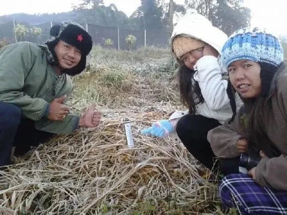 u-tayilandi-shist-osib-pomerli-cherez-raptove-pokholodannya