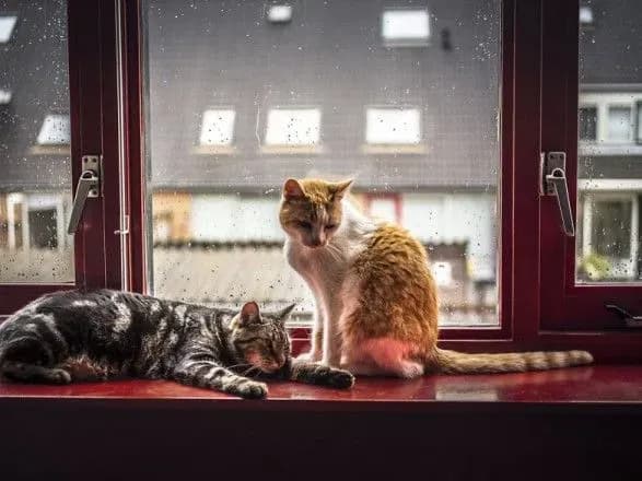 po-ukrayini-sogodni-vid-8-morozu-do-5-tepla