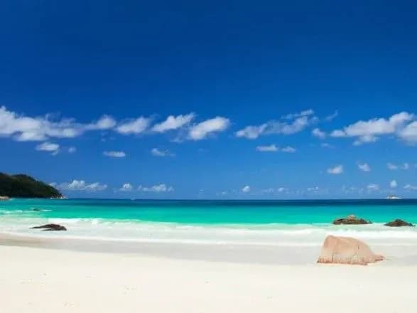 na-seyshelakh-akula-pokusala-turistku