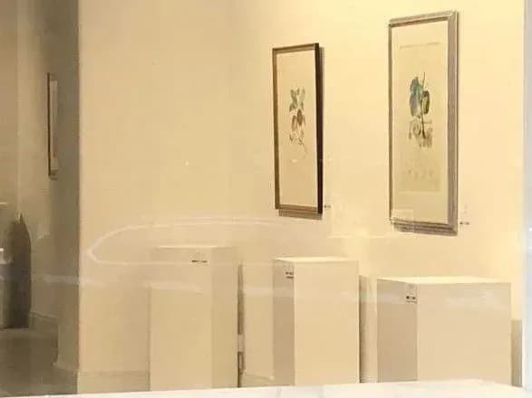 u-shvetsiyi-vkrali-bilshe-desyatka-skulptur-salvadora-dali