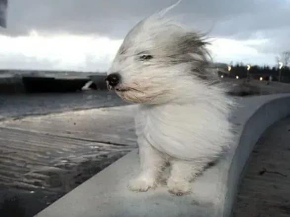 sinoptiki-ogolosili-shtormove-poperedzhennya-v-zakhidnikh-oblastyakh