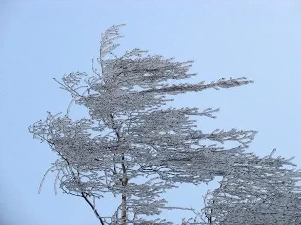 silniy-viter-i-khurtovini-ryatuvalniki-poperedili-pro-negodu