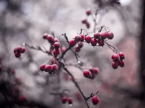 sinoptiki-dali-na-nayblizhchi-dni-doschoviy-prognoz