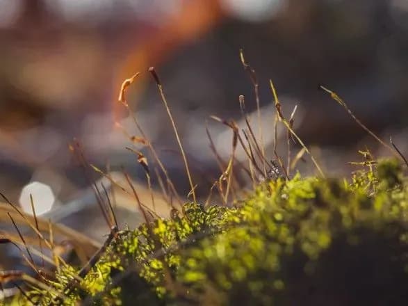 sinoptiki-rozpovili-pro-pogodu-v-ukrayini-na-zavtra-1