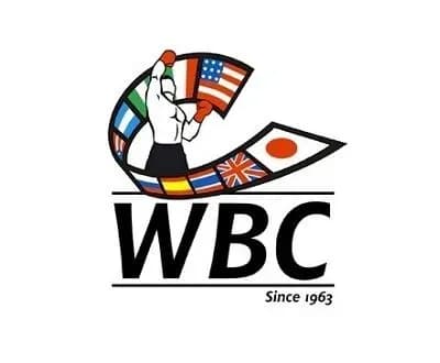prezident-wbc-nazvav-ukrayinu-maybutnoyu-bokserskoyu-krayinoyu