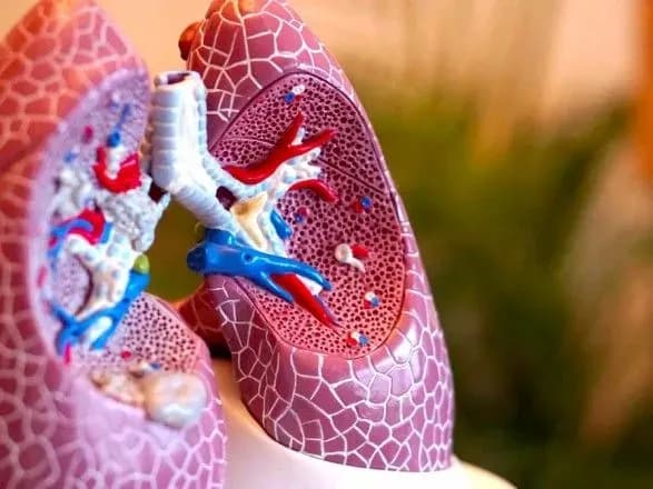 na-dnipropetrovschini-serednodoboviy-pokaznik-zakhvoryuvanosti-na-pnevmoniyu-znizivsya-mayzhe-vdvichi-oda