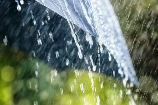 kiyan-poperedili-pro-silniy-dosch