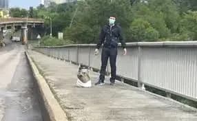 mineru-mostu-metro-sogodni-planuyut-obrati-zapobizhniy-zakhid