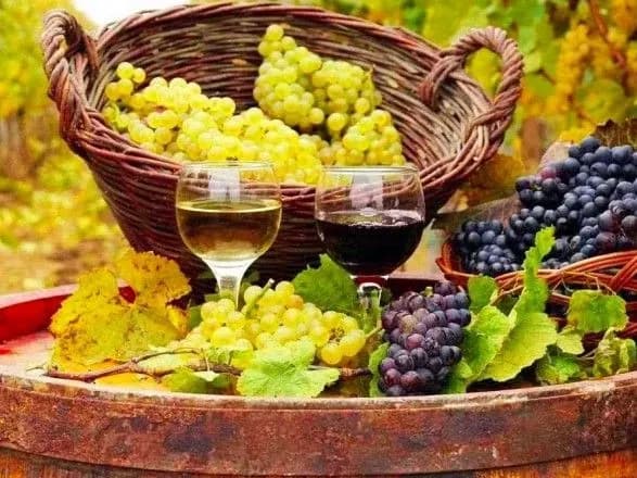 parlamentari-zrobili-krok-do-stimulyuvannya-rozvitku-vinogradarstva-v-ukrayini