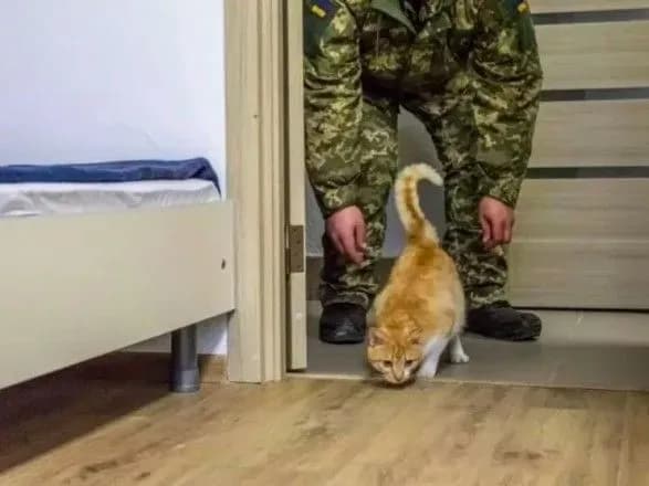 minoboroni-v-lipni-vivchatime-gromadsku-dumku-schodo-zabezpechennya-zhitlom-ukrayinskikh-viyskovikh