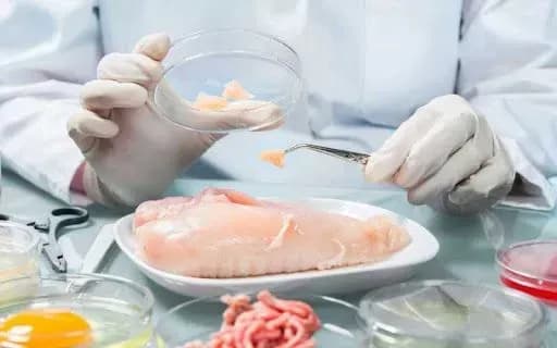 kuryatinu-epikur-ochikuye-audit-na-nayavnist-antibiotikiv