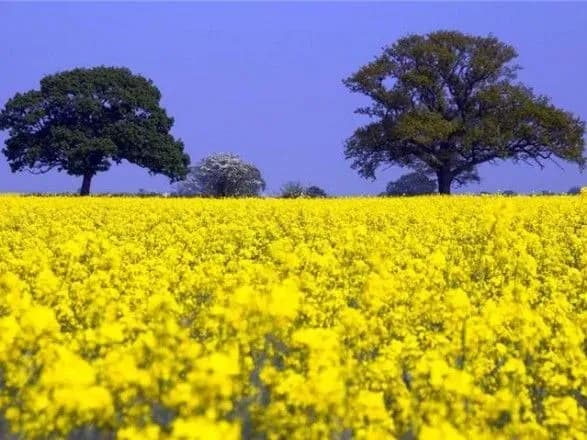 minyust-rozyasniv-yak-realizuvati-pravo-na-zemelniy-pay