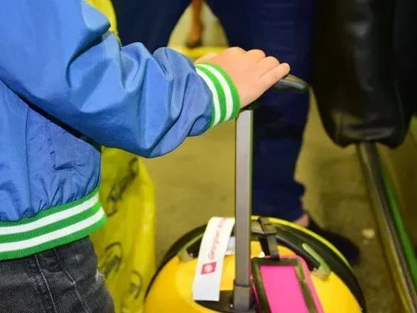 na-zakarpatti-zhinka-namagalasya-nezakonno-vivezti-z-ukrayini-dvokh-ditey