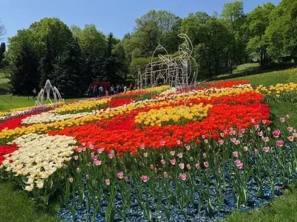 na-spivochomu-poli-vidkrivayut-novu-vistavku-kvitiv