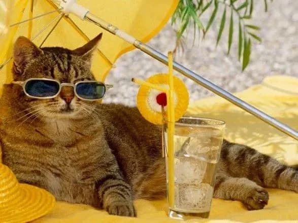 sinoptiki-dali-prognoz-pogodi-na-zavtra-84