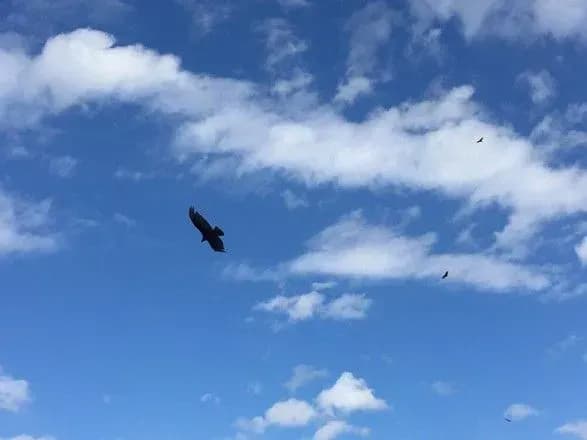 oon-vid-zabrudnennya-povitrya-schoroku-vmiraye-7-mln-lyudey