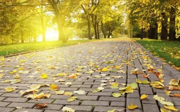 tsogorichniy-veresen-u-stolitsi-povtoriv-rekord-1909-roku