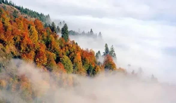 praktichno-bez-doschiv-ale-z-tumanami-sinoptiki-dali-prognoz-na-kinets-tizhnya