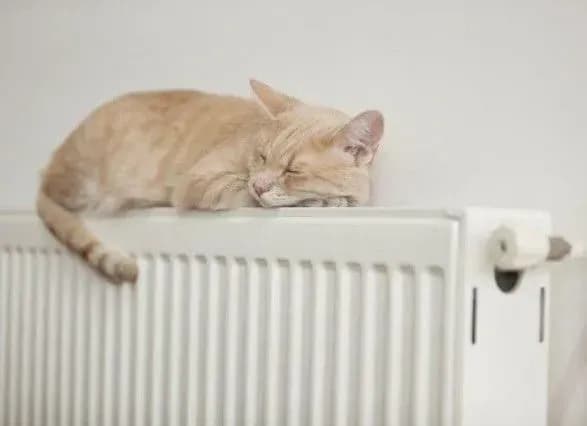 u-lvovi-uzhe-ponad-dvi-tisyachi-budinkiv-z-teplom