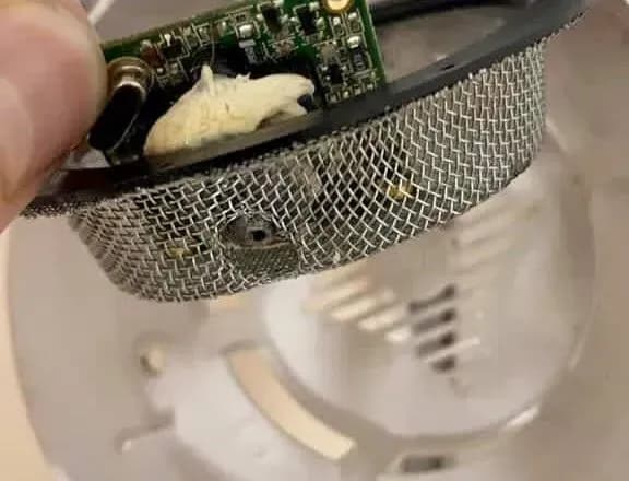 mer-bilgorod-dnistrovskogo-zayaviv-scho-viyaviv-u-svoyemu-kabineti-prikhovani-kameri-sposterezhennya