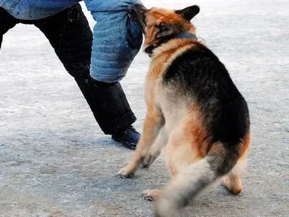 na-odeschini-cholovik-pobiv-politseyskogo-ta-natskuvav-na-inshogo-vivcharku